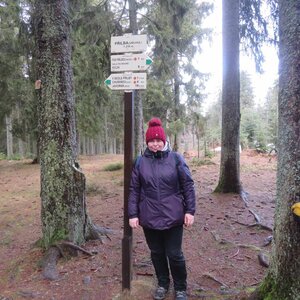 Šumava