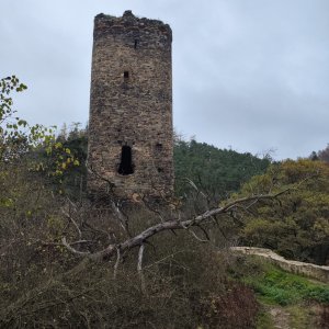 Plaská pahorkatina