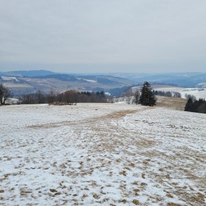 Zubří - N.M.na M.