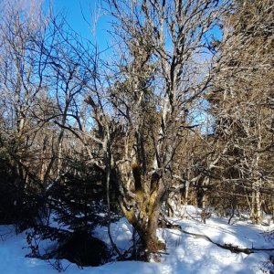 Moravskoslezské Beskydy