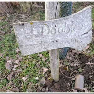 27.2.2025 na skok na kopec U Doubku