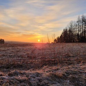 Tachov