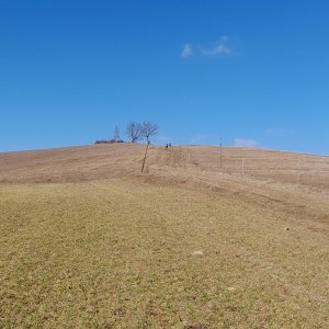 Podtatranská kotlina