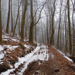 České středohoří