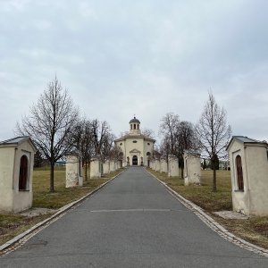 Petřvald
