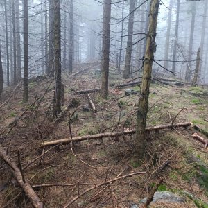 Moravskoslezské Beskydy