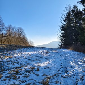 Kulich
