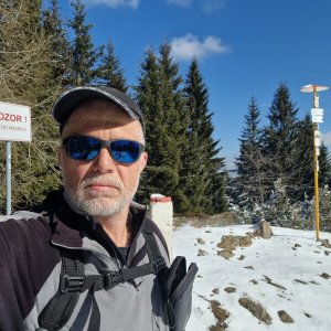 Javorníky