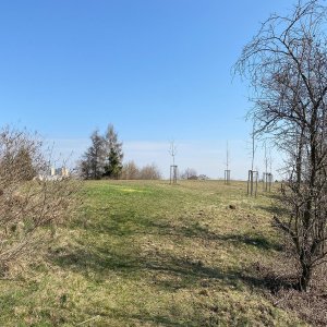Milíčák