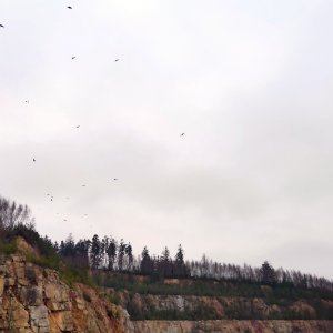 Vřesová - Nejdek