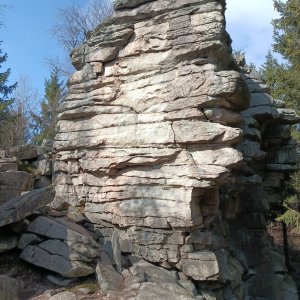 Javořice