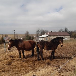 kolem Rýmařova (NJ 5x)