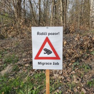 Eldorádo a Gurňák z Michálkovic od Koliby Salajka