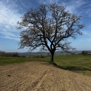 Chřiby - nad Koryčany