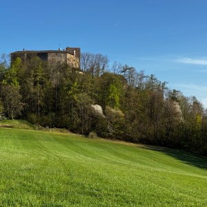 Chřiby - Barborka a Buchlov
