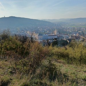 Boskovická brázda