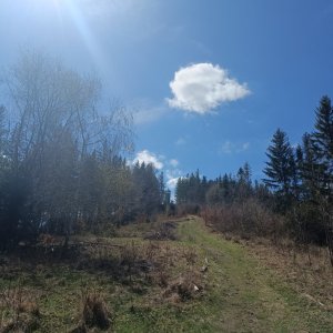 Moravskoslezské Beskydy