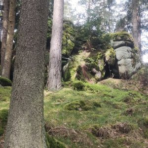 Šumavské podhůří