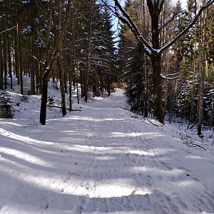 První jarní den na Zelené hoře