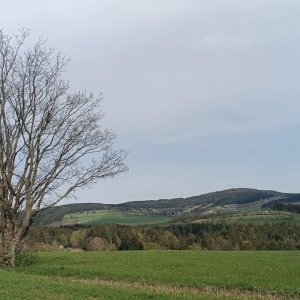20250421 Orlické hory (Pavlovy vrchy a Bulík