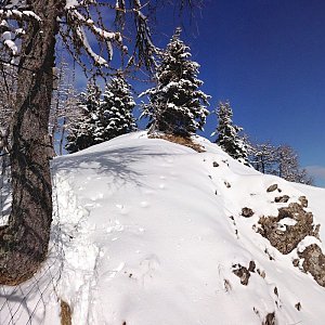 Wurzerkampl