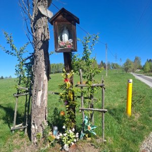 Kiczora (Sól) - Milówka