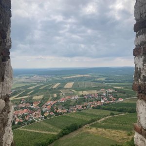 Mikulovská vrchovina