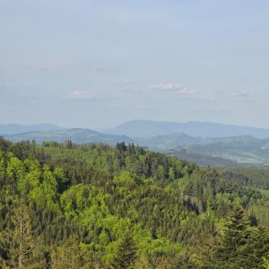 Hostýnky: Hlinsko - Pardus - Troják - Bludný - Oznička - VM
