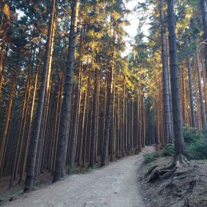 Špacír - do Makovského průsmyku