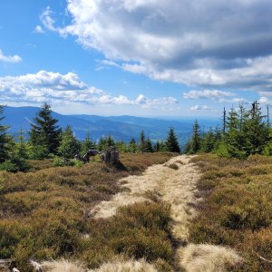 Kouty nad Desnou