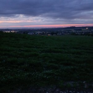 Evening Walk