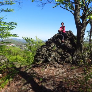Trip 4/27/2025