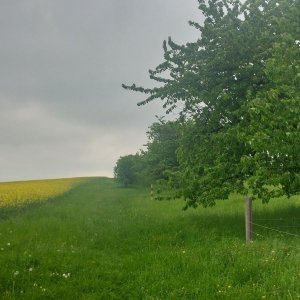 Krmelínský kopec - Na Vrších