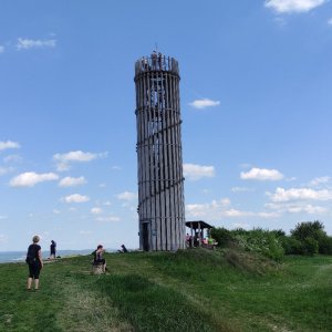 Výhon 355 m - Dyjsko - svratecký úval, Židlochovice