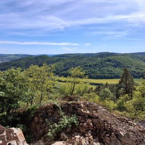 BEROUN  - Plešivec 