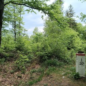 Slezské Beskydy