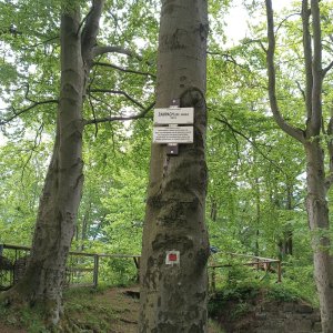 Přes tři hrady