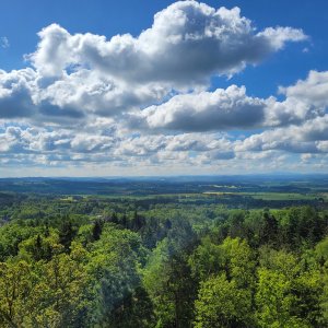 Horažďovice - Nekvasovy