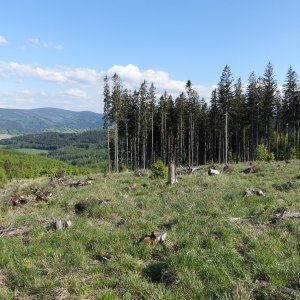 Vyčistit hlavu před odjezdem…