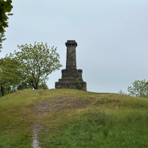 Krnovská 50