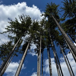 Vizovické vrchy - Malenisko, Komonec, Bába a Brda