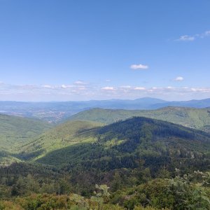 Barania gora malinova