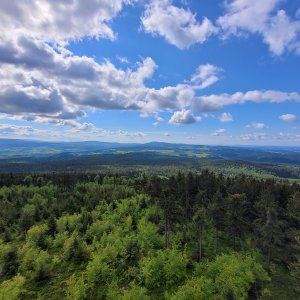 Mladkov - Říčky