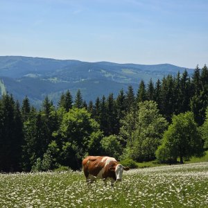 RpR - Soláň - Miloňová - HB - RpR