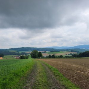 Barndorf - Furt im Wald