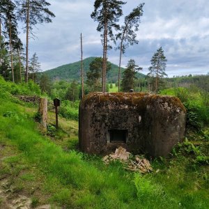 Borovina - Watzelův kopec