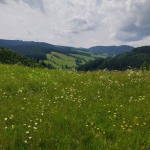 Valašské kilo