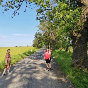 Valteřicko a Větrník z Křišťanovic