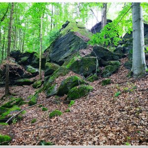 10.6.2025 přes tři doliny na tři ultrakopce Kamenitý vrch Petrovický vrch a Drážník