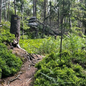 Morning Hike